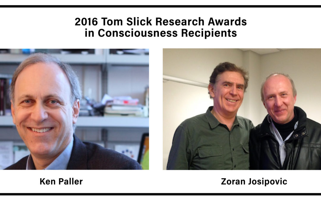 2016 Tom Slick Research Awards in Consciousness
