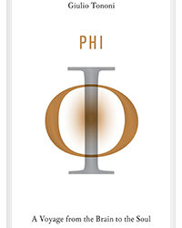 Phi: A Voyage from the Brain to the Soul