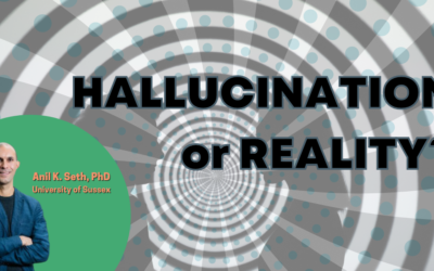 Hallucination or Reality?